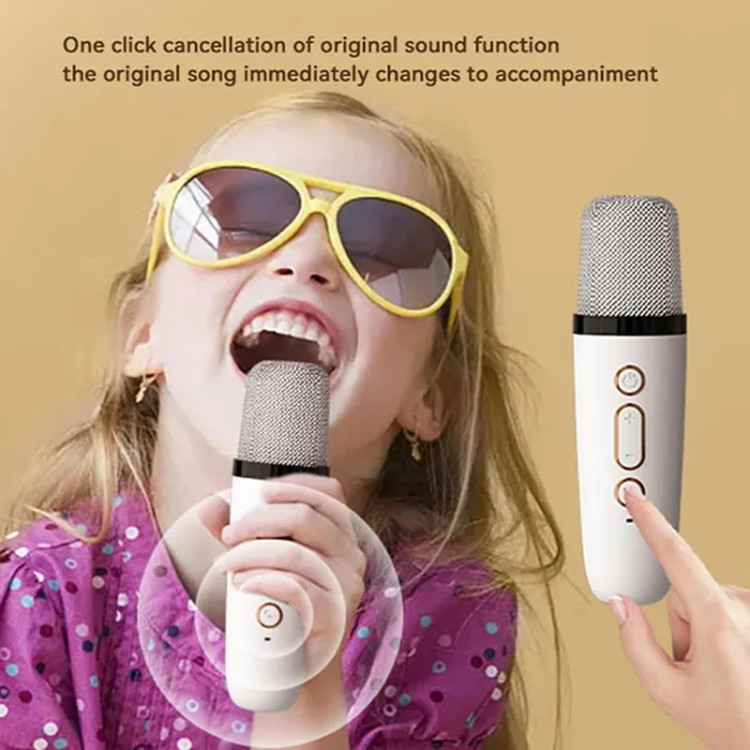 اسپیکر و میکروفن