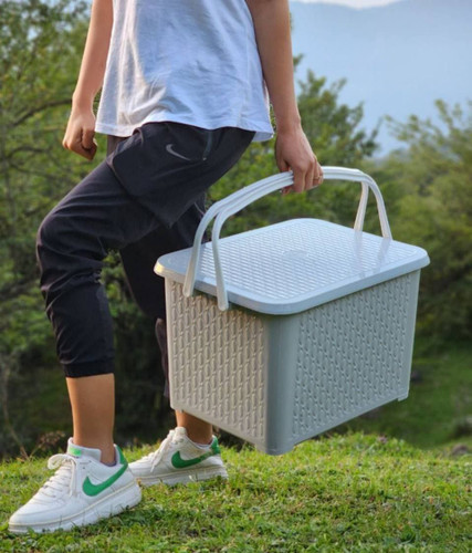 سبد مسافرتی